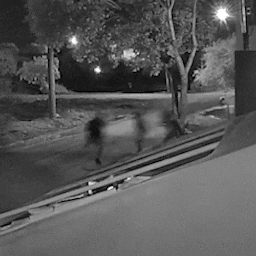 Câmera registra trio fugindo e gritando "É o 15" após execução de homem