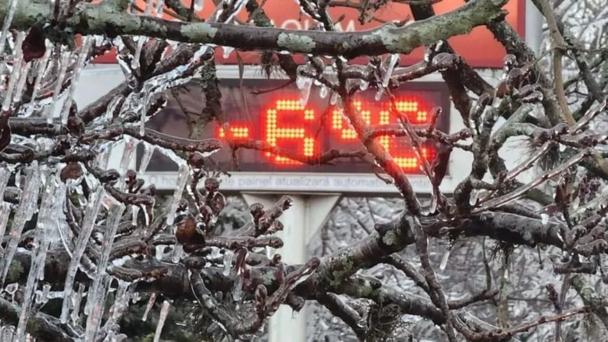 Onda de frio chega ao pico e traz risco de geadas; veja onde as mínimas chegam a -6°C no Brasil