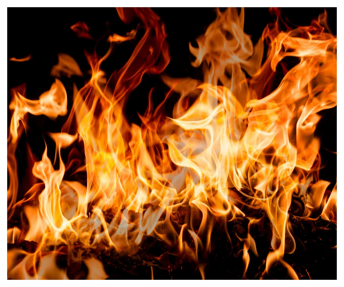 3 newborns die in fire at govt hospital's NICU in Maharashtra's Amravati