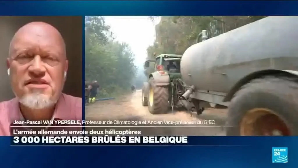 Incendies en Belgique : 3 000 hectares brûlés