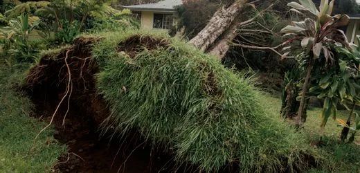 Hawaii: Tropensturm »Lala« sorgt für Zerstörung - zahlreiche Haushalte ohne Strom