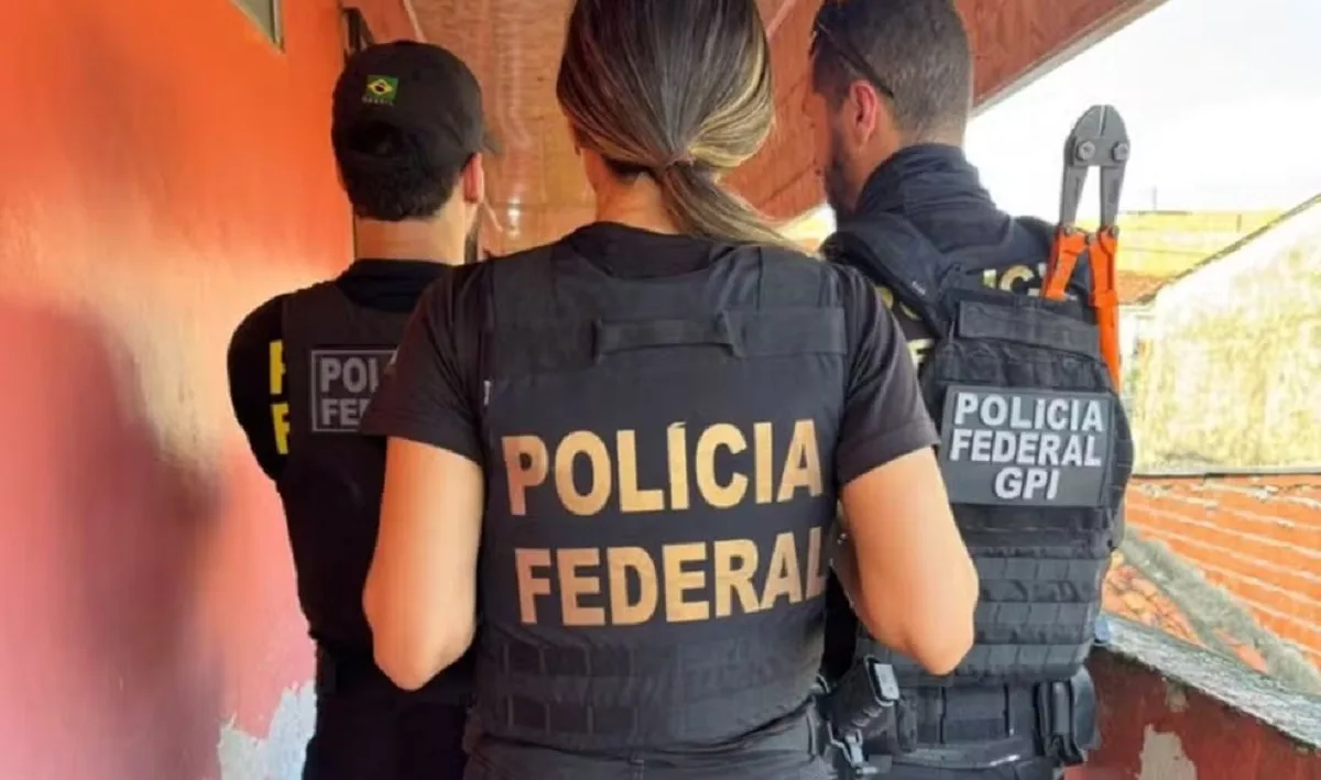 Justiça condena pessoa no Pará por venda de vídeos na internet com tortura e morte de animais