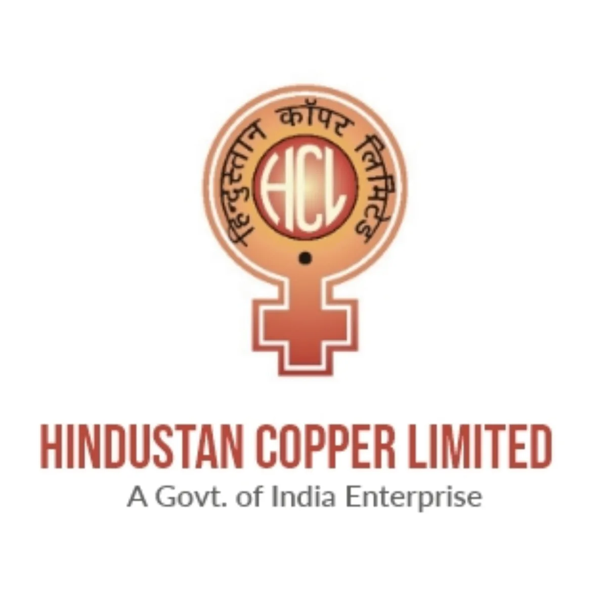 Institutional buyers oversubscribe Hindustan Copper OFS with ₹4,600 cr bids