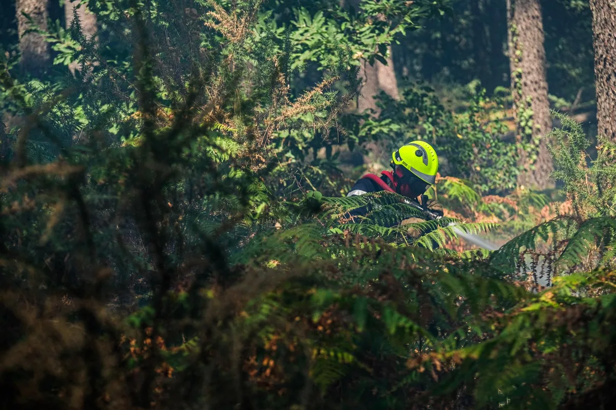 « Je ne sais pas pourquoi j’ai fait ça, je n’aime pas le feu » : un pyromane condamné à Niort pour avoir allumé onze incendies en quinze jours