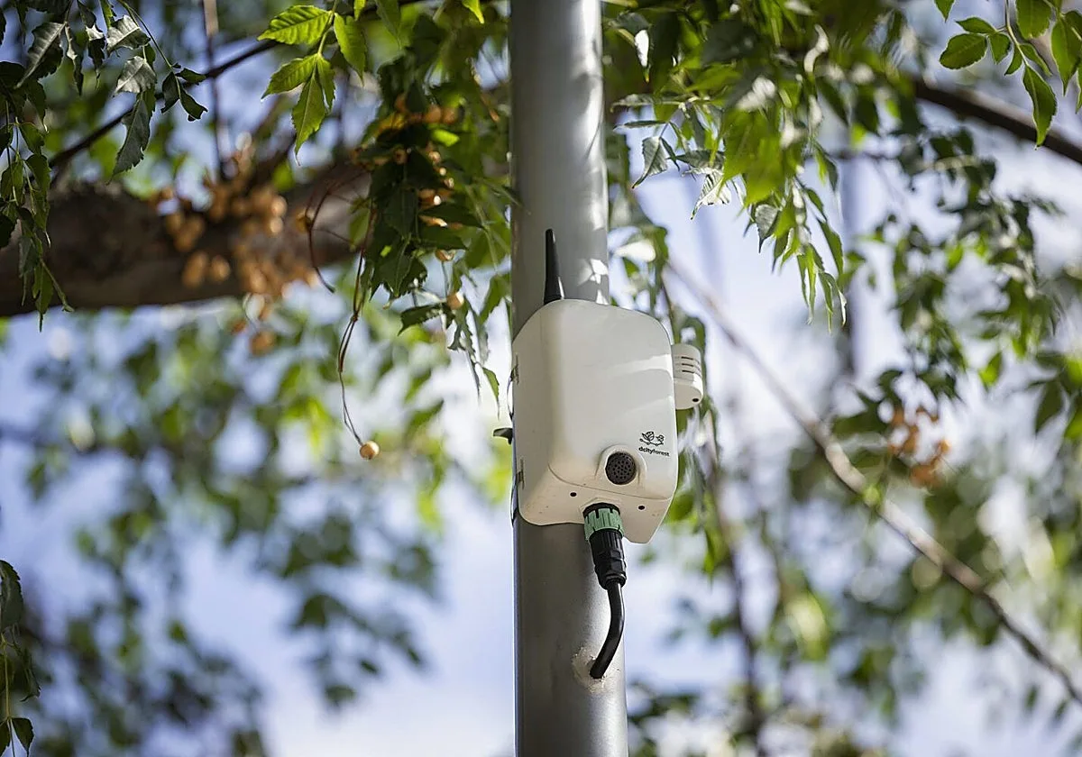 15 micrófonos con inteligencia artificial para monitorizar las aves y murciélagos de Madrid