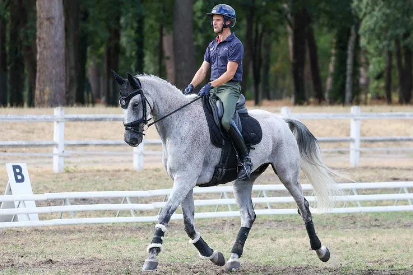 « J'ai toujours la même excitation » : Nicolas Touzaint, légende du complet, est prêt à en découdre aux Mondiaux d'équitation