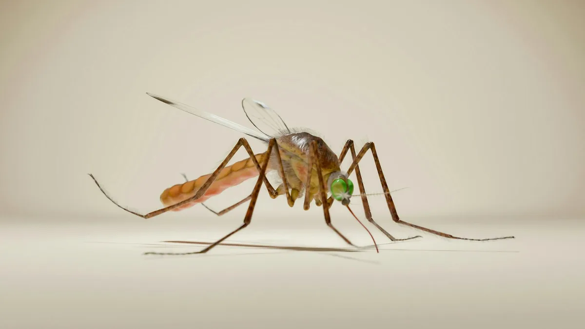 Science that makes you laugh? Canadian engineers win Ig Nobel Technology Prize for 3D ‘necroprinting’ with mosquitoes