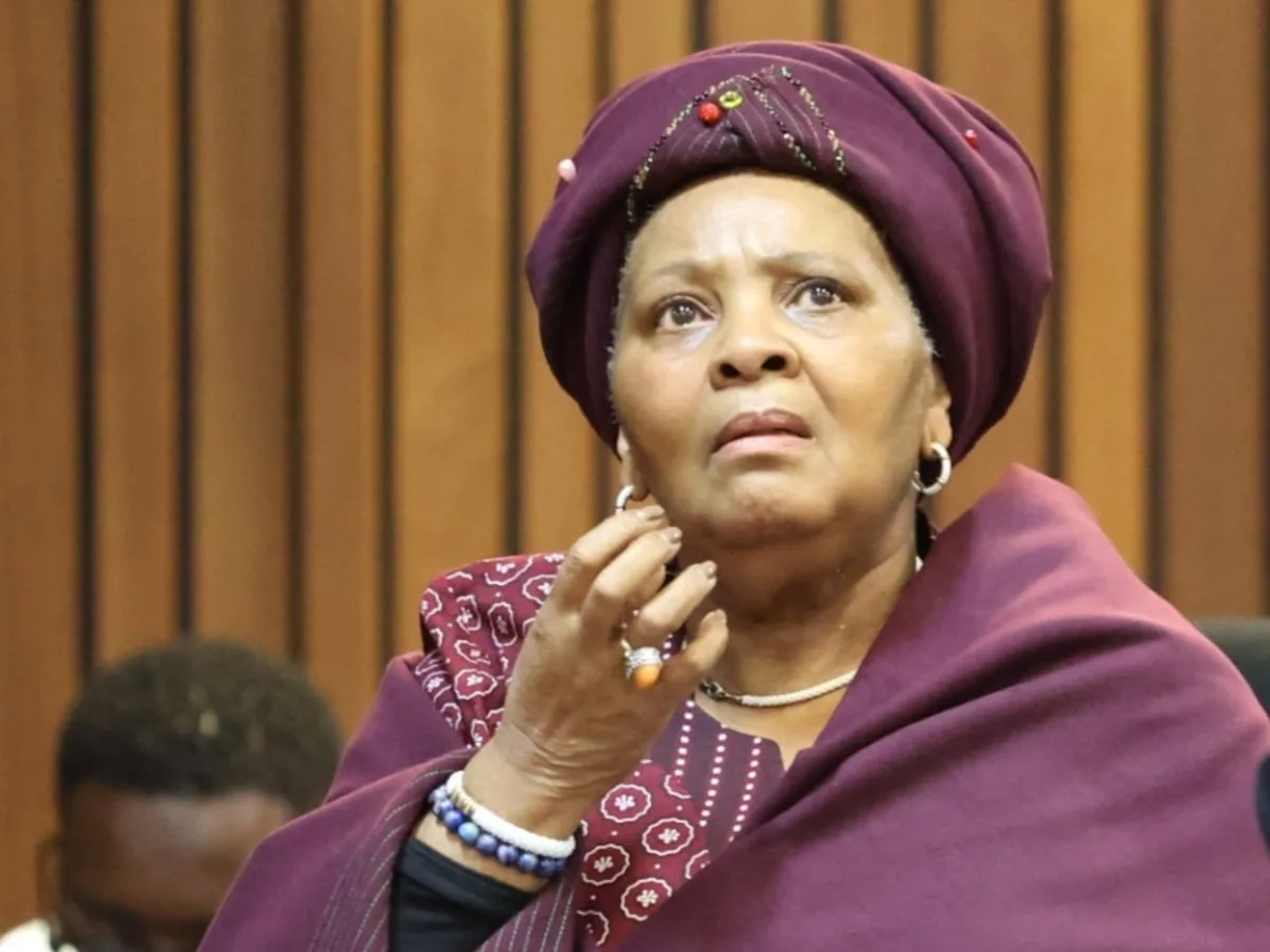 State: Mapisa-Nqakula failed to declare ‘wig’ gift from SANDF contractor