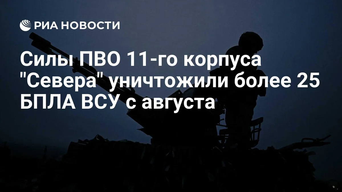 Силы ПВО 11-го корпуса "Севера" уничтожили более 25 БПЛА ВСУ с августа