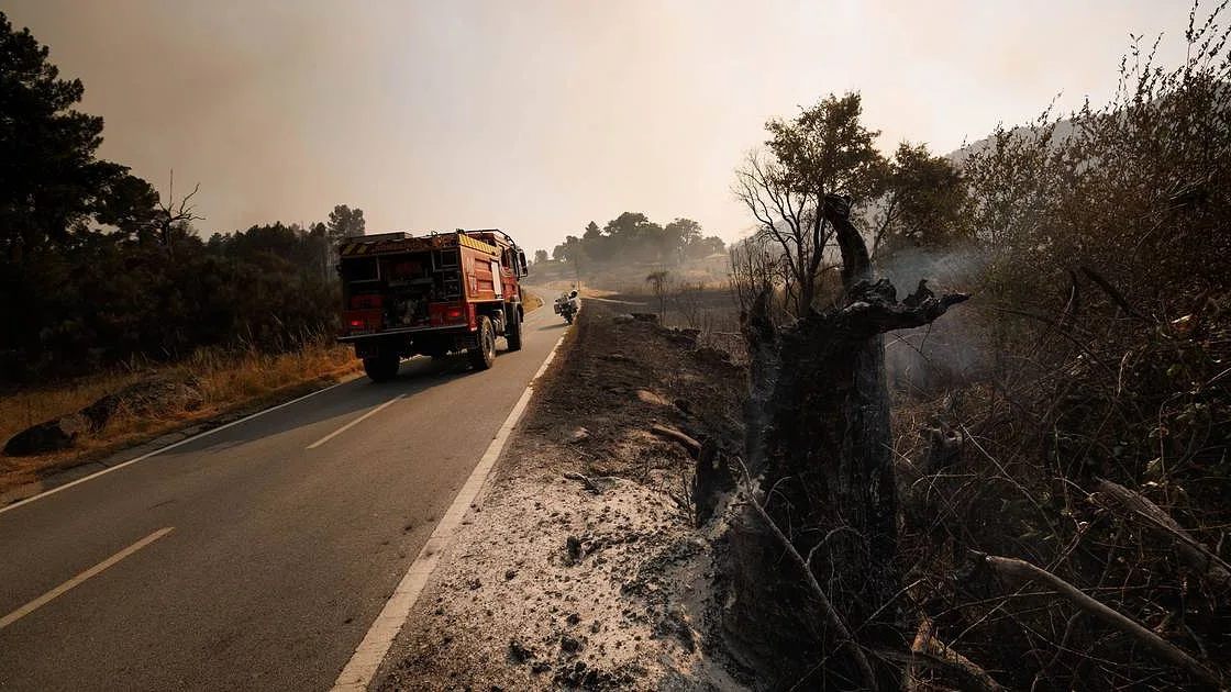 Incêndio em Torre de Moncorvo consumiu mais de 2 mil hectares e causou prejuízos agrícolas significativos
