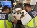 La Policía detiene en Ceuta a 45 personas que pretendían entrar en la península con documentación fraudulenta