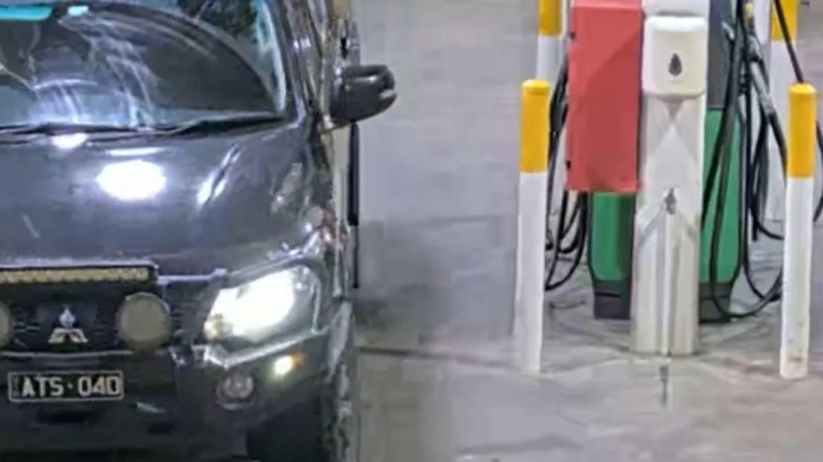Desperate search underway for man allegedly shot and bundled into ute in Wildwood, Victoria