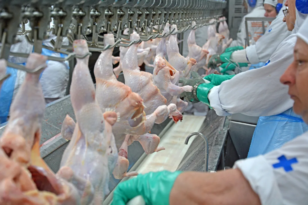Fim da escala 6×1 pode reduzir oferta de carnes e elevar preços ao consumidor, diz ABPA