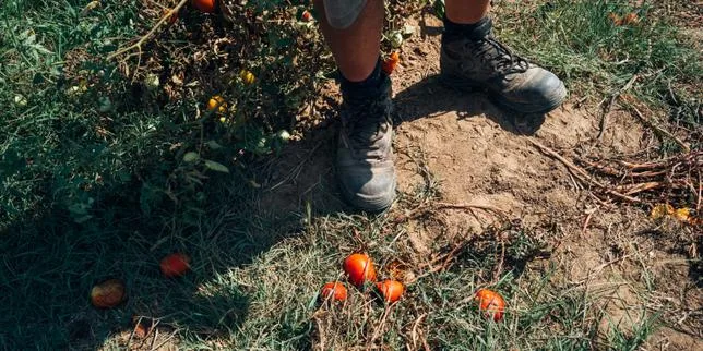 En France, plus de 140 000 personnes se déclarent « sinistrées climatiques »