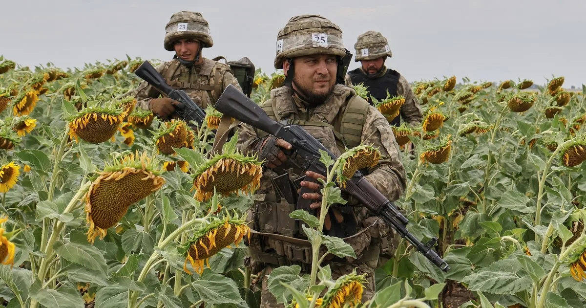 El precio de un cultivo que vive un boom en Argentina vuelve a niveles que no se veían desde los comienzos de la invasión de Rusia a Ucrania