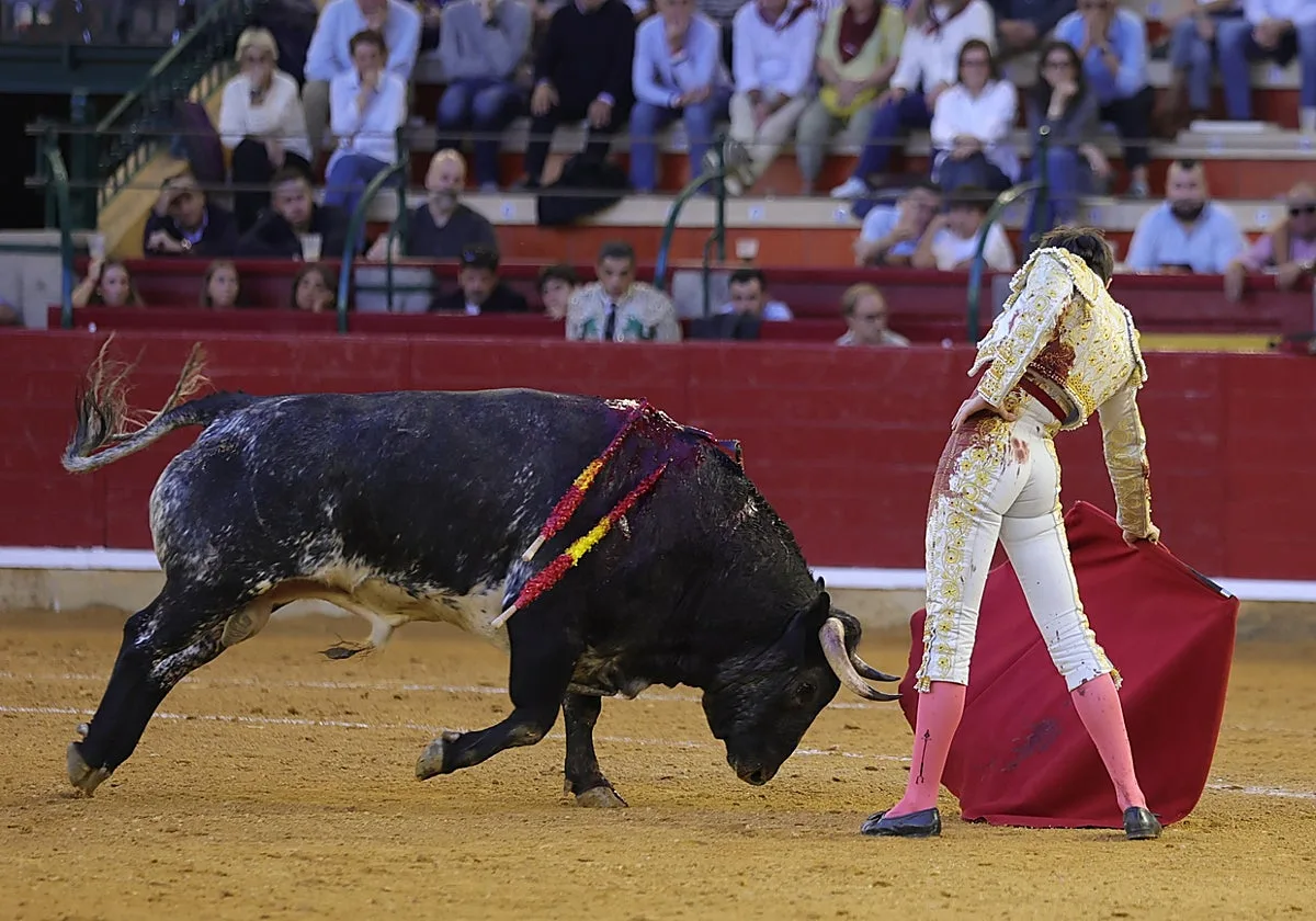 Interesante novillada de Los Maños en la primera del Pilar