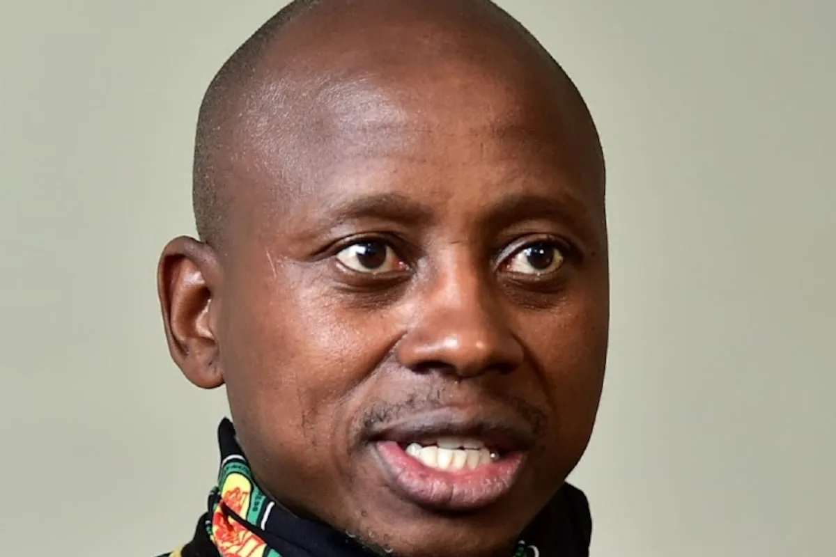 Court finds Andile Lungisa’s removal from ANC list unlawful