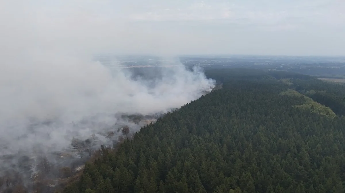 En Belgique, 3 000 hectares d'un parc naturel ont été ravagés par l'un des pires incendies de l'histoire du pays