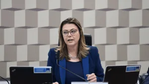 Relatora da MP das blusinhas apresenta parecer em comissão mista do Congresso