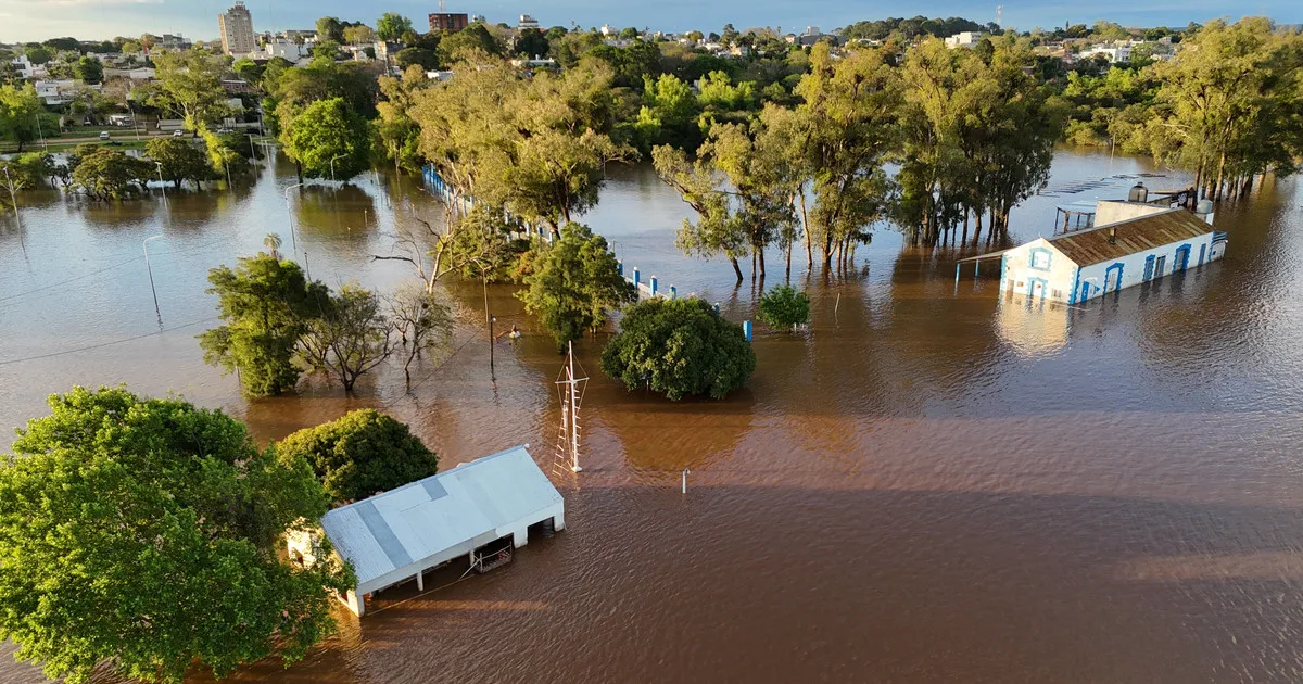 Súper Niño 2026 en Argentina, EN VIVO: cuándo llegará el pico de las fuertes lluvias y cómo cambiará el clima en el país