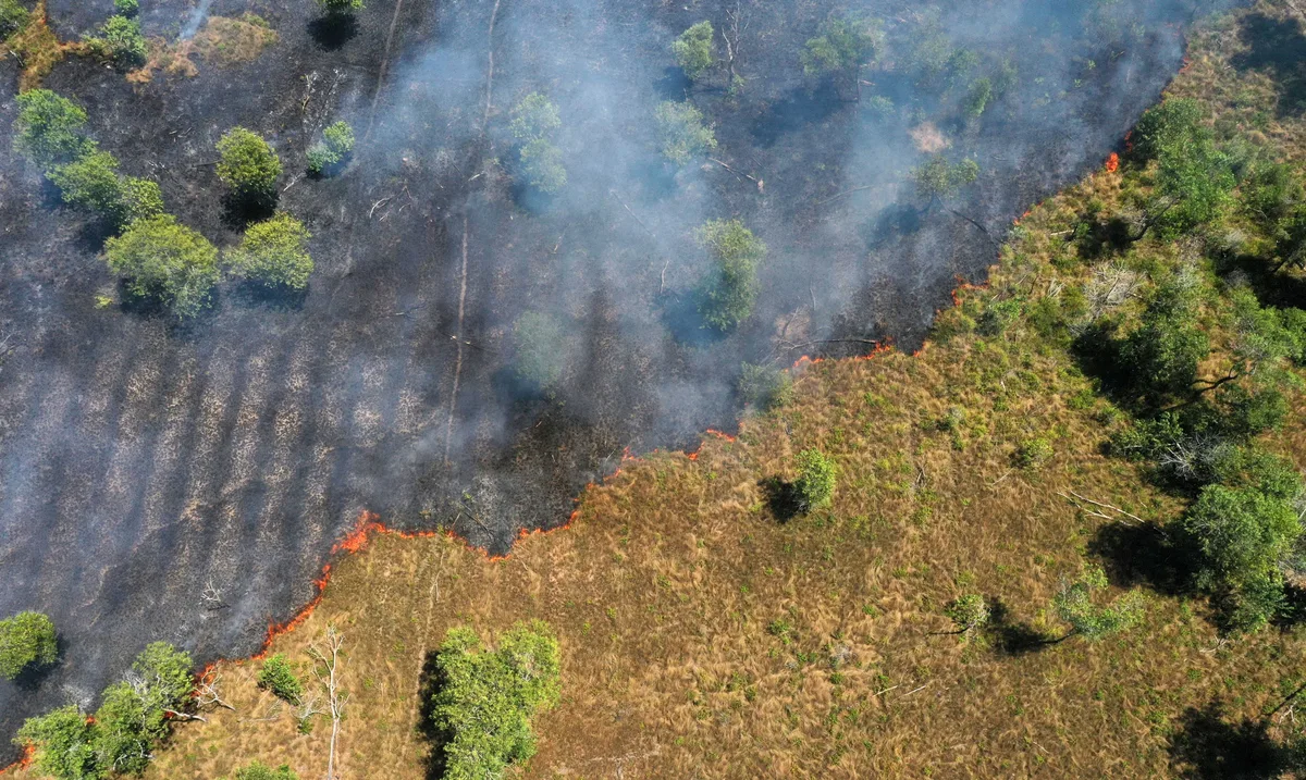 Desmatamento na Amazônia atinge menor nível da série histórica em 2025, aponta MapBiomas