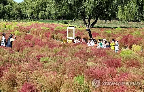 부산·울산·경남 맑고 쌀쌀…낮 기온 22∼23도