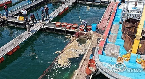 9월에도 고수온 지속…경남 양식어류·전복 폐사 600만마리 넘어
