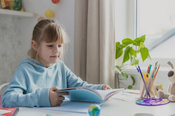Screen time soars as children ditch books over summer holidays