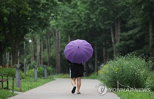 대전·세종·충남 오전까지 비…낮 최고 33도 무더위