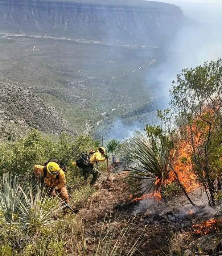 Alcalde reporta combate y control de incendio en serranía del Pueblo Mágico de Candela, Coahuila