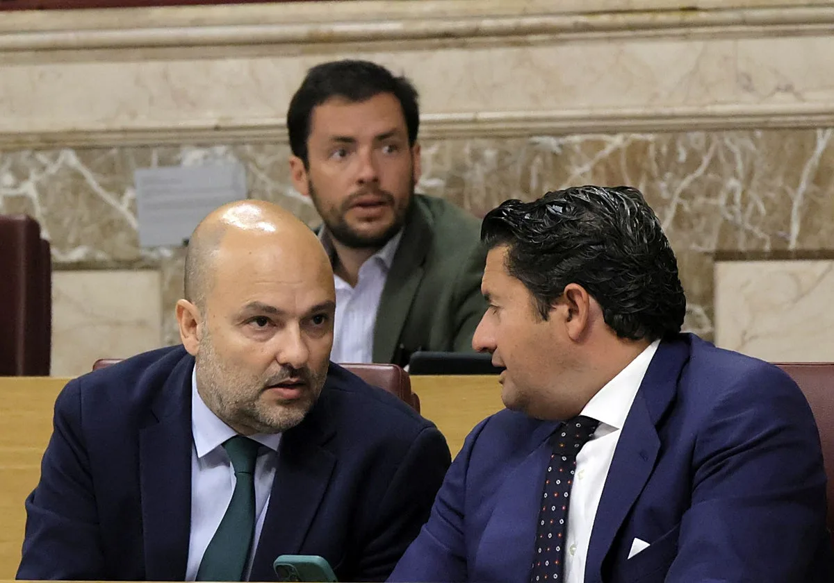 Vox enmienda las ordenanzas fiscales de José Luis Sanz: «Son poco ambiciosas»