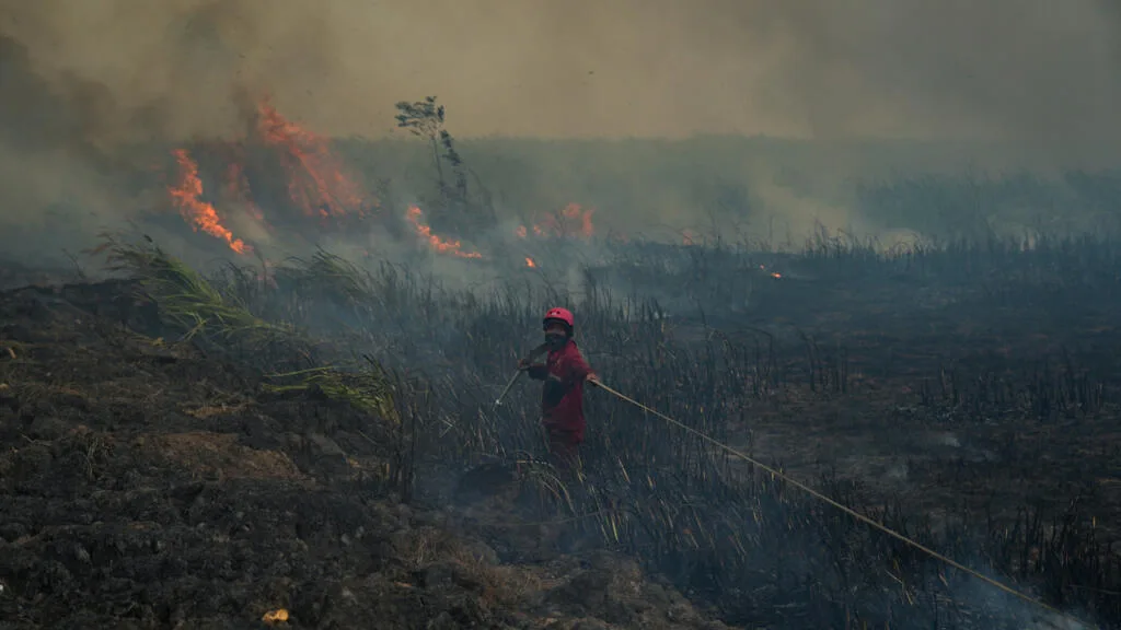L'Indonésie ravagée par le feu, une partie de l'Asie du Sud-Est sous les fumées toxiques