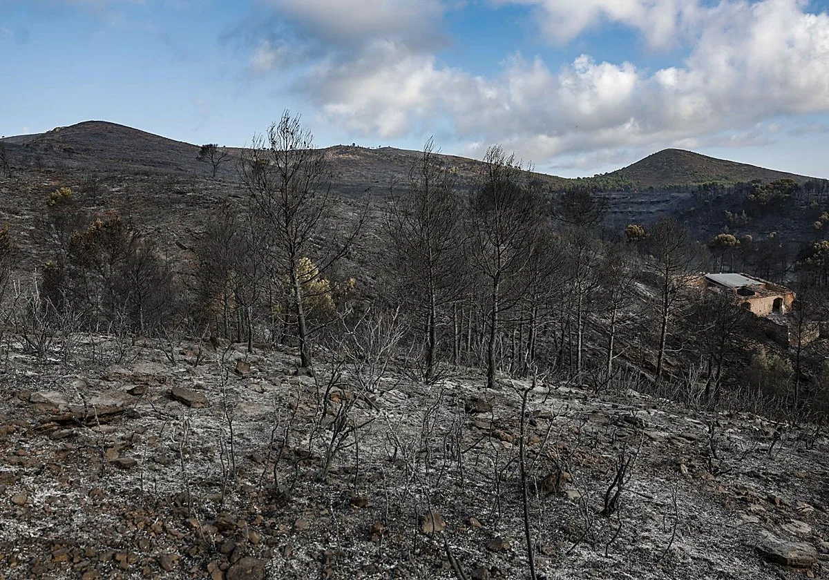 Refuerzo aéreo por el incendio en Segorbe y mantienen a la población evacuada