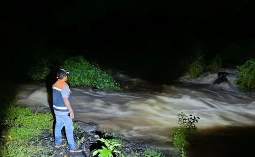 Frente frío deja bajas temperaturas, fuertes vientos y lluvias en Veracruz; reportan caída de árboles y postes