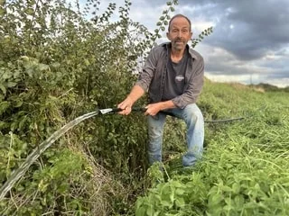 « 72 m³ par jour » : pourquoi un tuyau déverse de l’eau dans un fossé depuis des semaines en pleine sécheresse