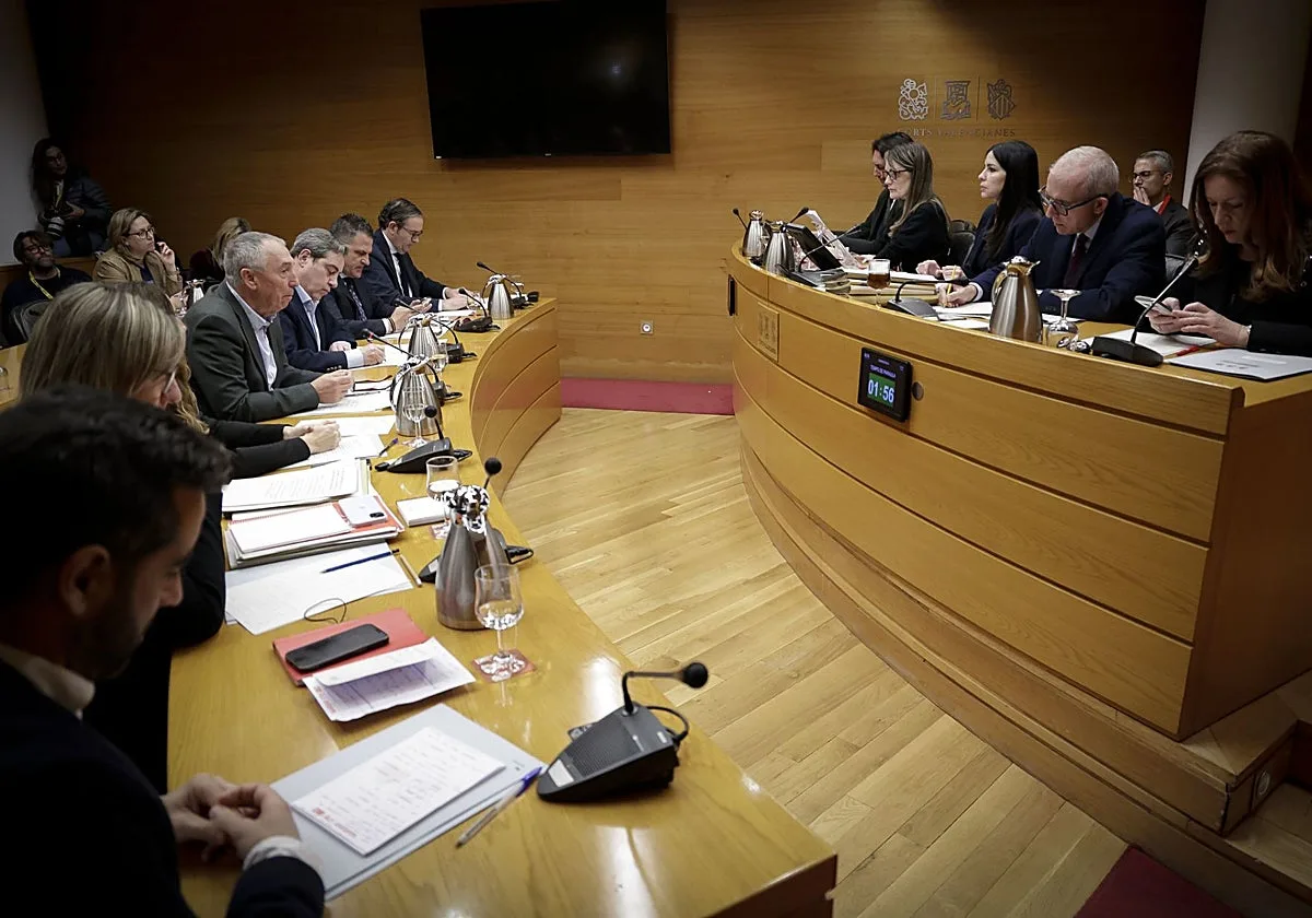 El PSOE pide al Constitucional que reabra la comisión de la dana en las Cortes Valencianas