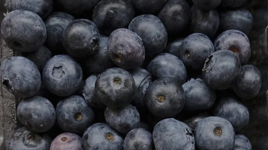 Frozen blueberries recall categorized under FDA's highest Class I risk level