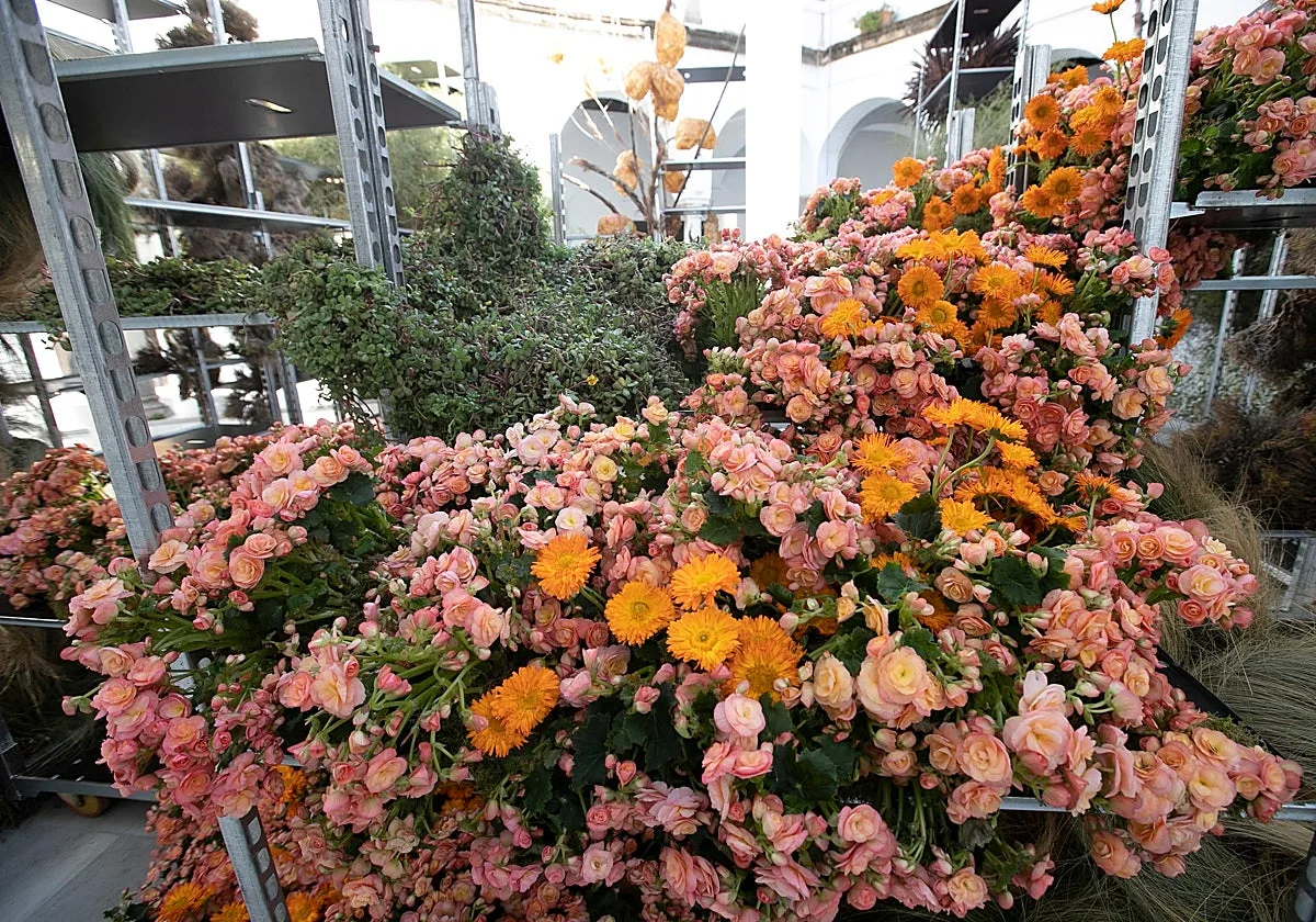 Flora 2026: guía de actividades, horarios, fechas y mapa de las sedes del festival de las flores en Córdoba