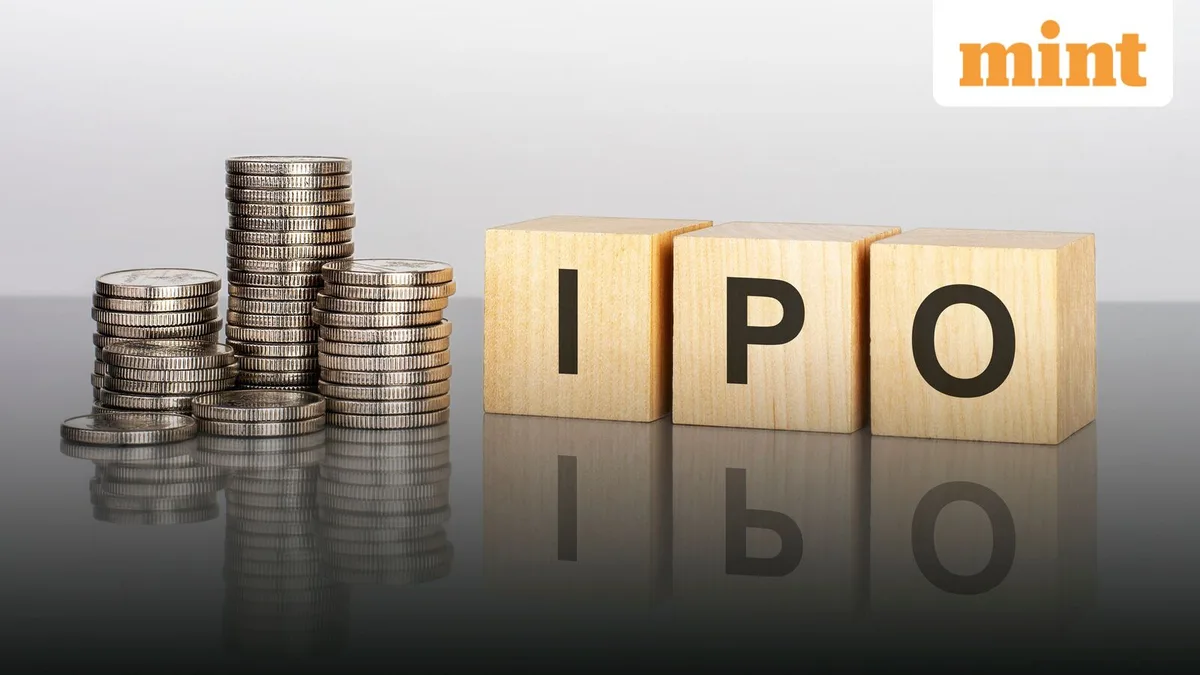 How to spot IPO red flags before you invest
