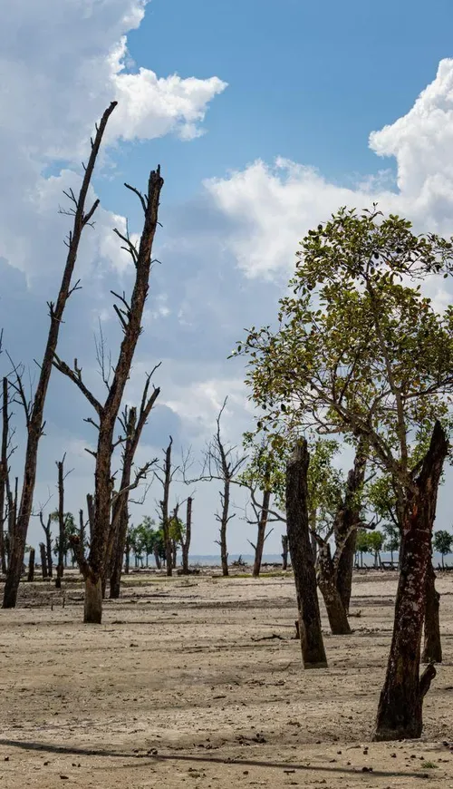El Niño warning: Households urged to grow their own food as drought threatens food security
