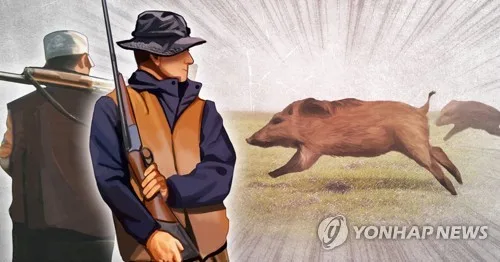 멧돼지 포획 중 쏜 엽총에 동료 사망…40대 금고형 집행유예