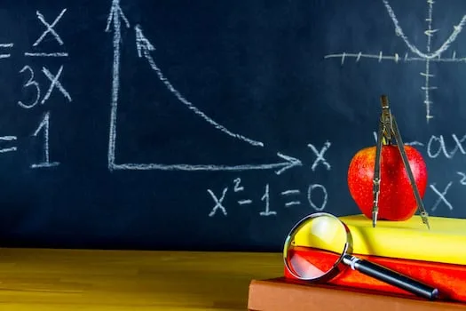 More raids on the cards at Gauteng schools after contraband seized in Alex