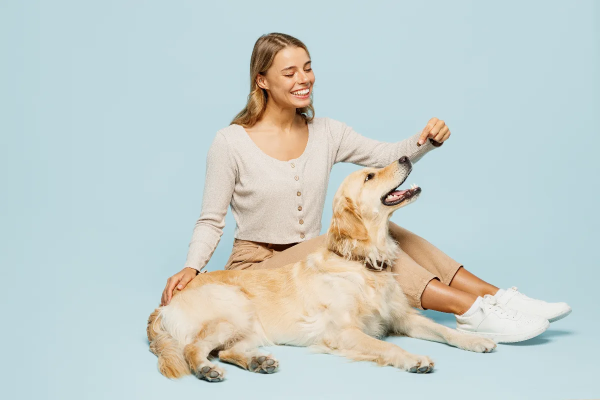 Veja como oferecer petiscos a cães com alergias sem abrir mão dos momentos de carinho