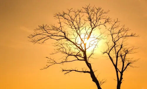 El Niño warning: SAWS calls for early planning ahead of 2026/27 summer