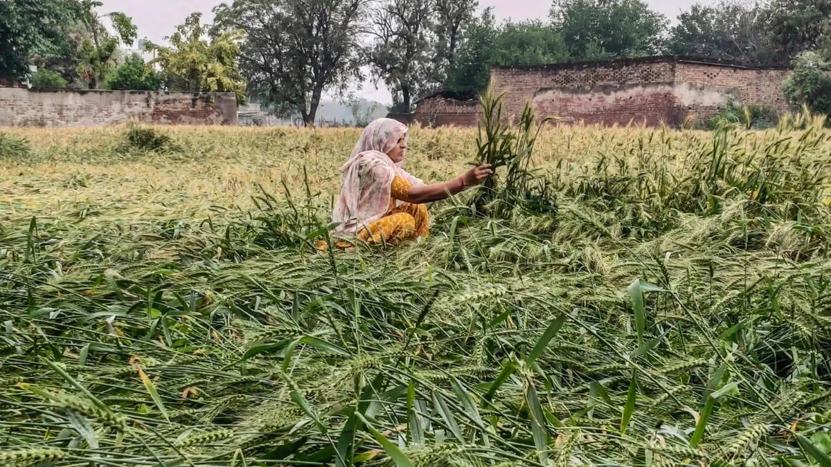 Uttarakhand CM announces relief for hailstorm-affected farmers