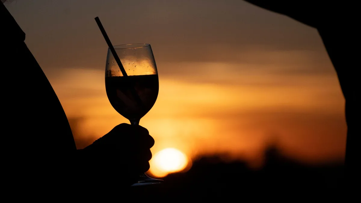 Drinks für den Sommerausklang: So wird Wein zum Cocktail