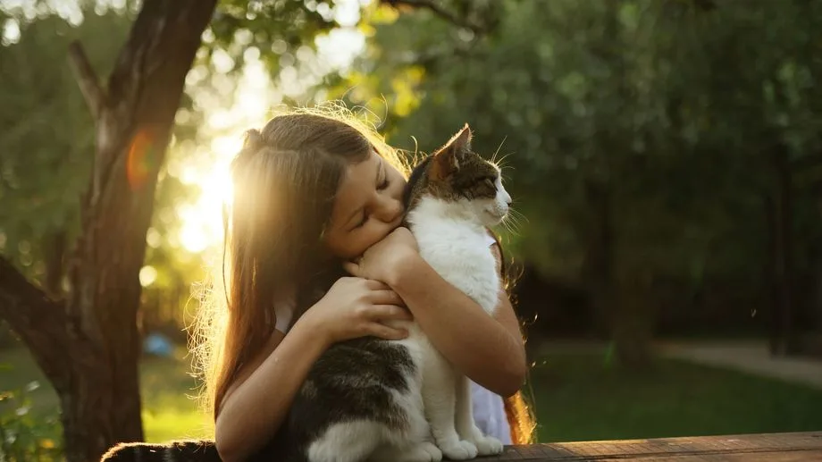 Éclipse solaire : faut-il protéger son chien ou son chat pendant le phénomène ?