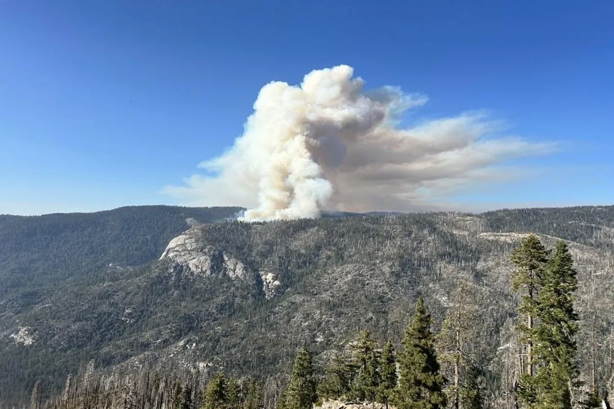 Tributes paid to ‘dedicated’ helicopter pilots who died fighting Yosemite Dome fire