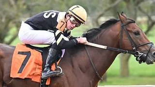 Stickupwithoutagun con la monta del jinete venezolano se lleva el stakes de $50 mil