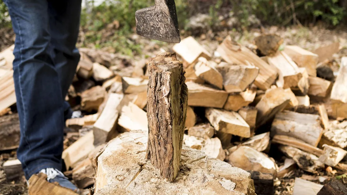 España cambia las normas: quien venda madera, leña o corcho tendrá un mes para declarar cuánto ha vendido